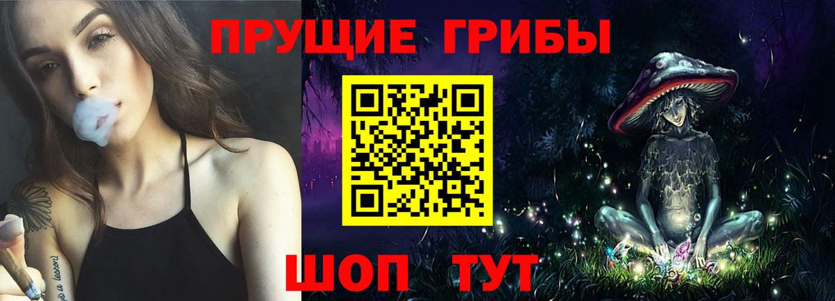 Псилоцибиновые грибы Psilocybine cubensis Красный Сулин